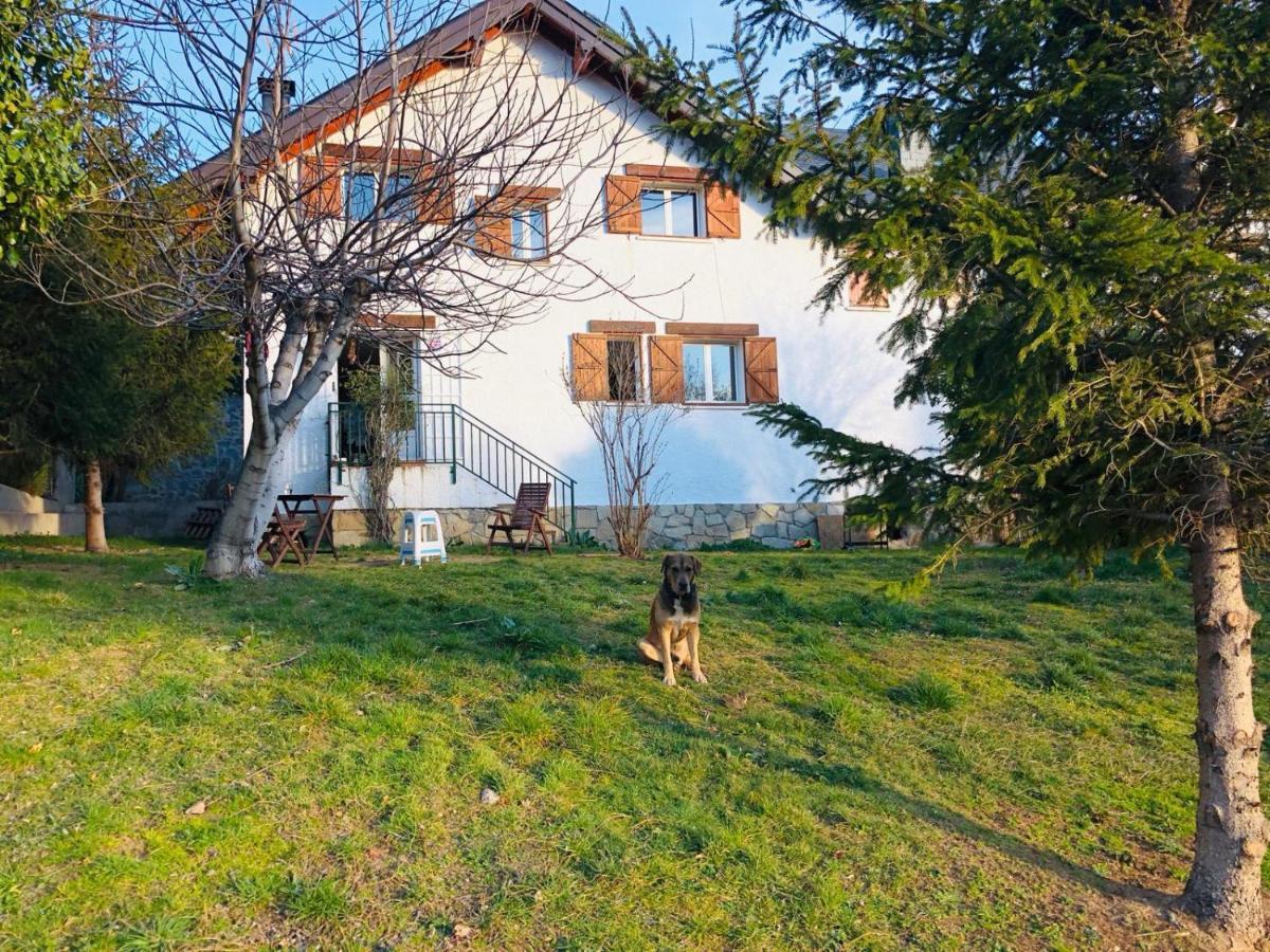 Casa Con Jardin, 4 Habitaciones Y Mucho Encanto En Cercedilla Eksteriør billede