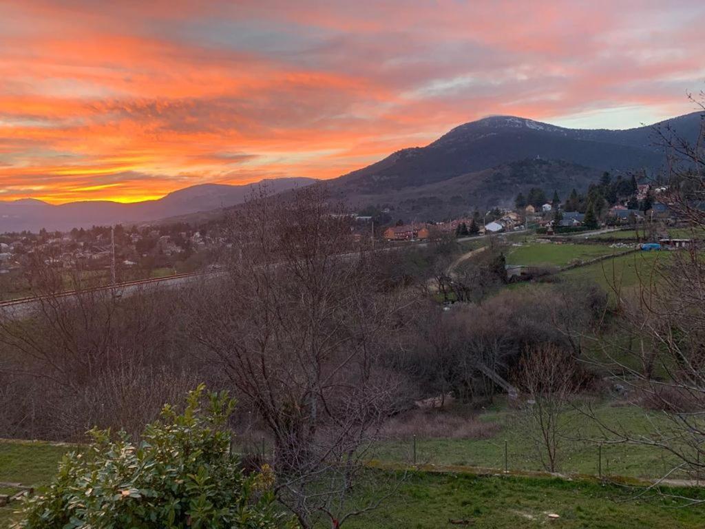 Casa Con Jardin, 4 Habitaciones Y Mucho Encanto En Cercedilla Eksteriør billede